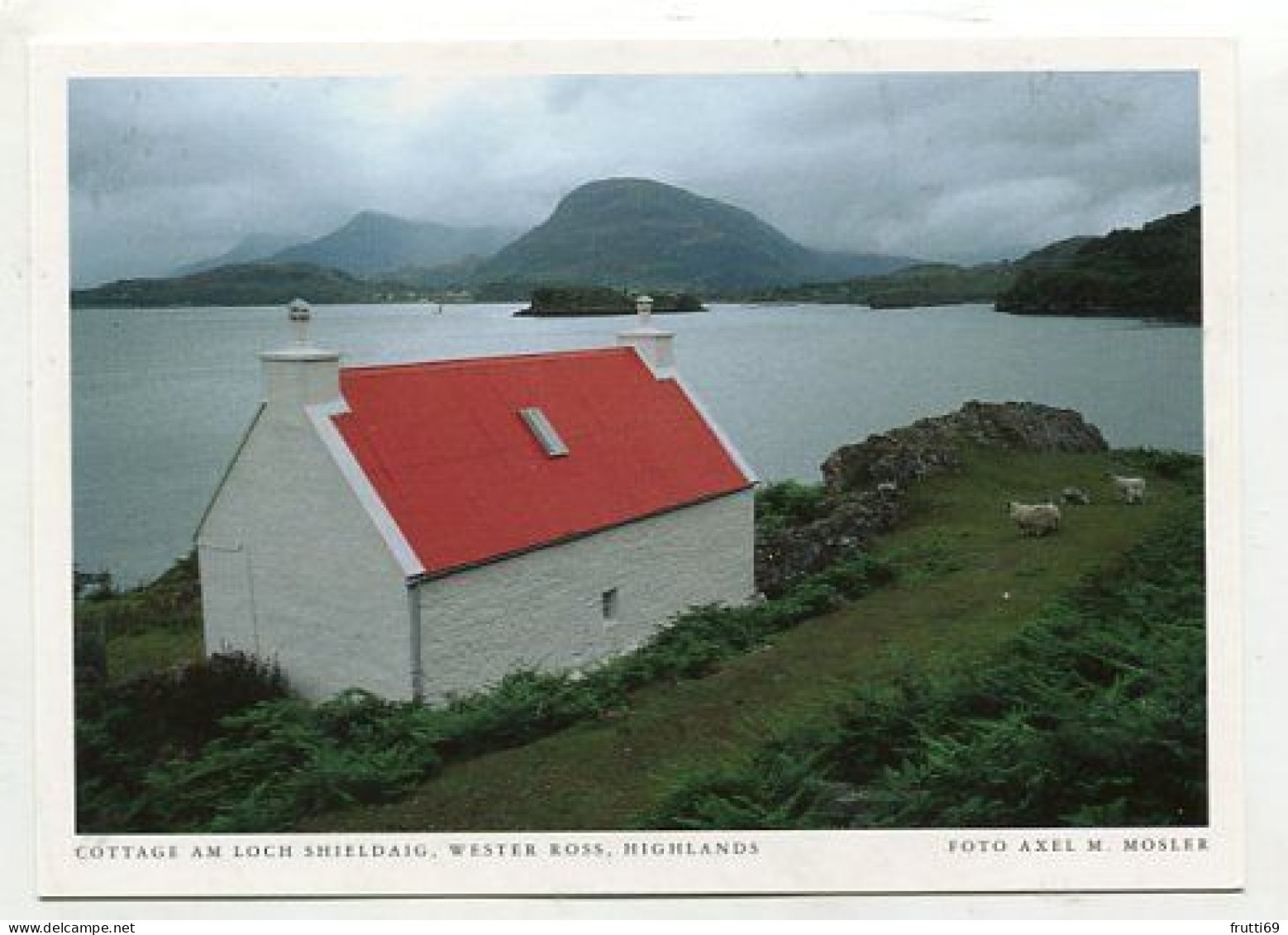 AK 176924 SCOTLAND - Cottage Am Loch Shieldaig - Wester Ross - Highlands - Ross & Cromarty