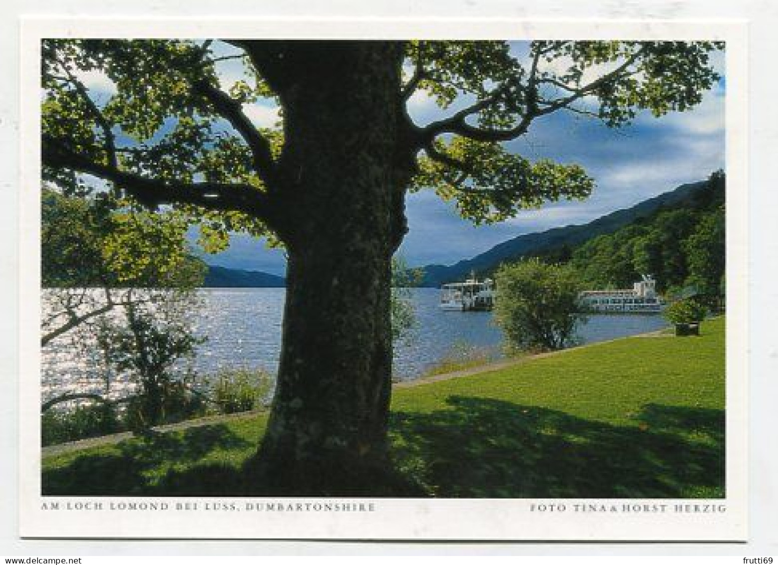 AK 176947 SCOTLAND - Am Loch Lomond Bei Luss - Dumbartonshire - Dunbartonshire