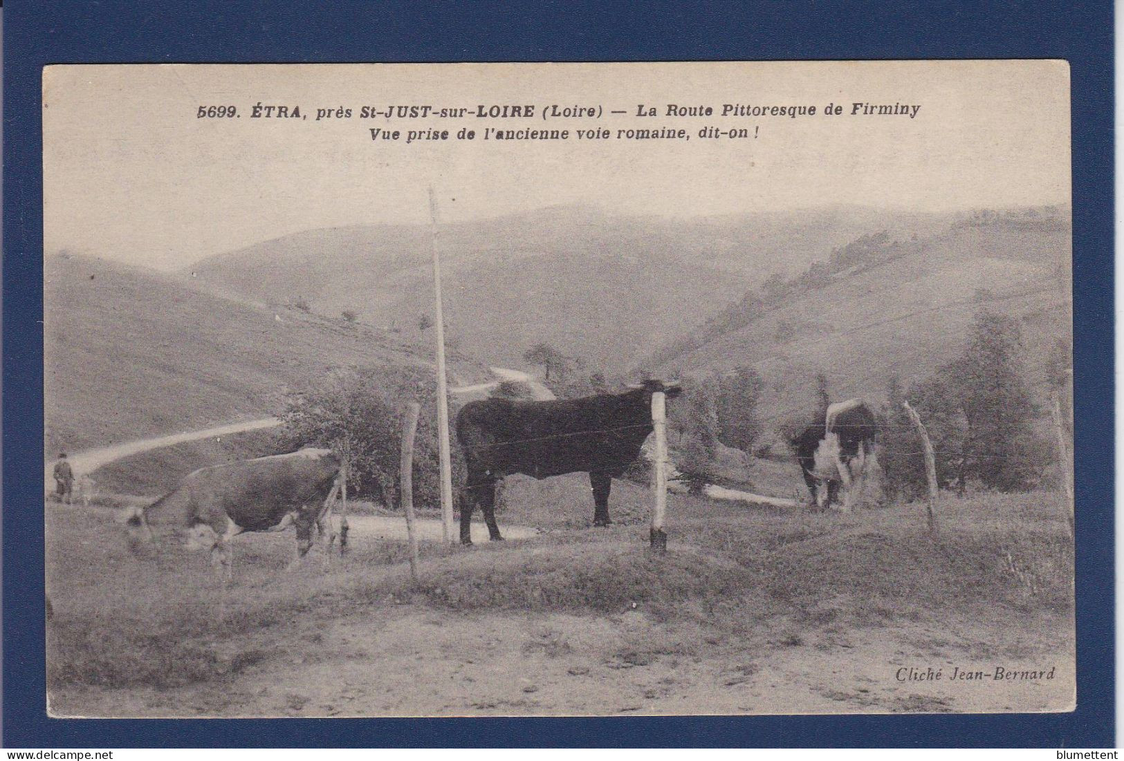 CPA 1 Euro Animaux Vache Prix De Départ 1 Euro Non Circulé - Koeien