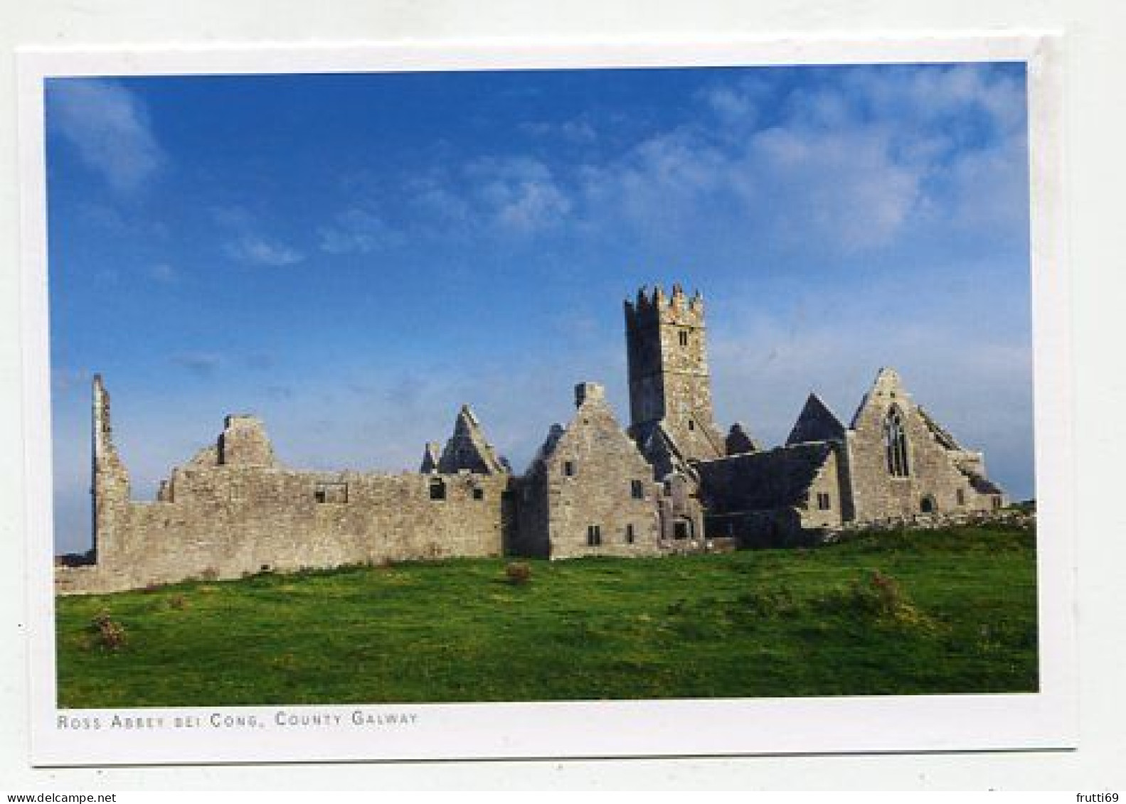 AK 177023 IRELAND - Ross Abbey Bei Cong - Galway