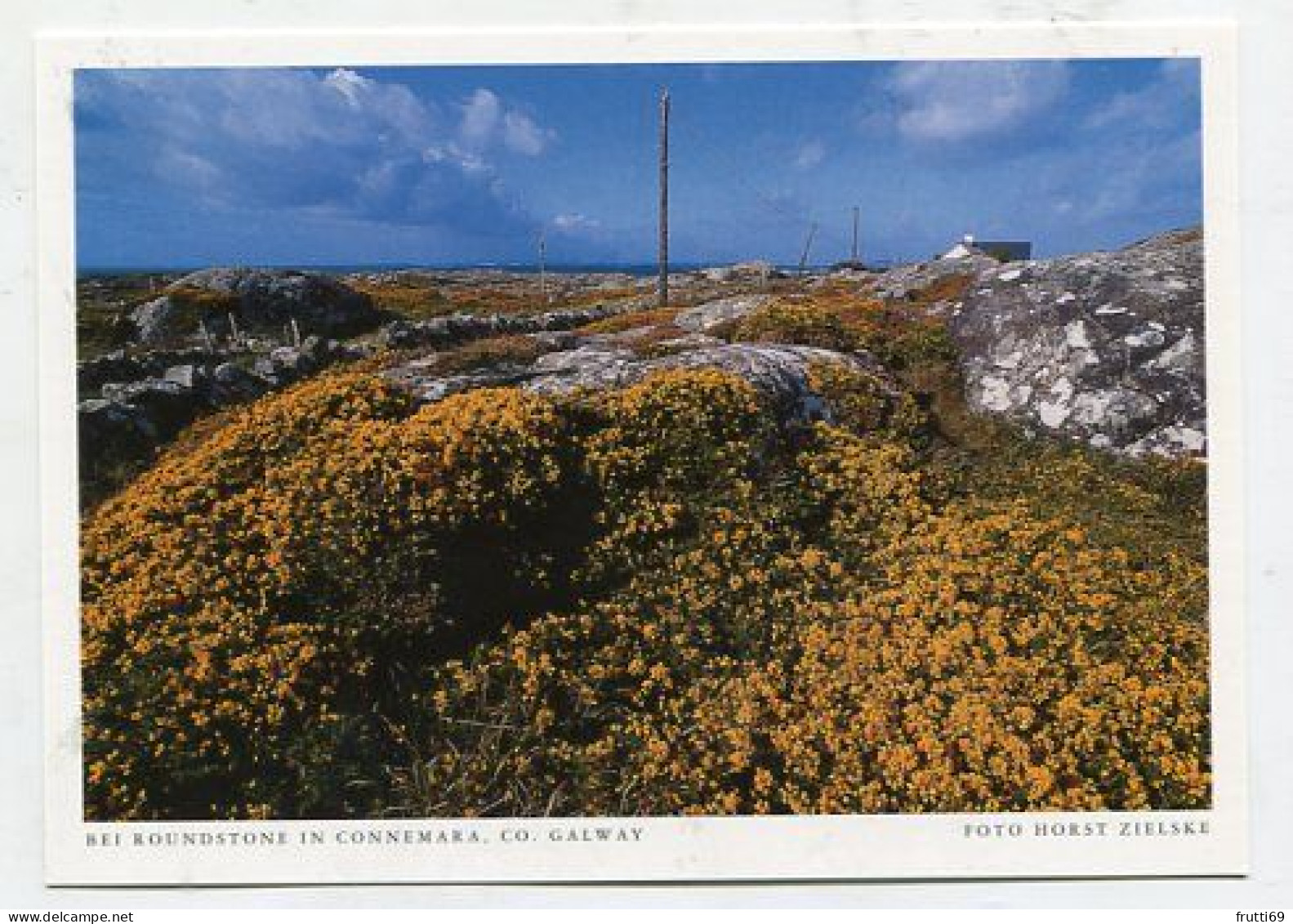 AK 177027 IRELAND - Bei Roundstone In Connemara - Galway