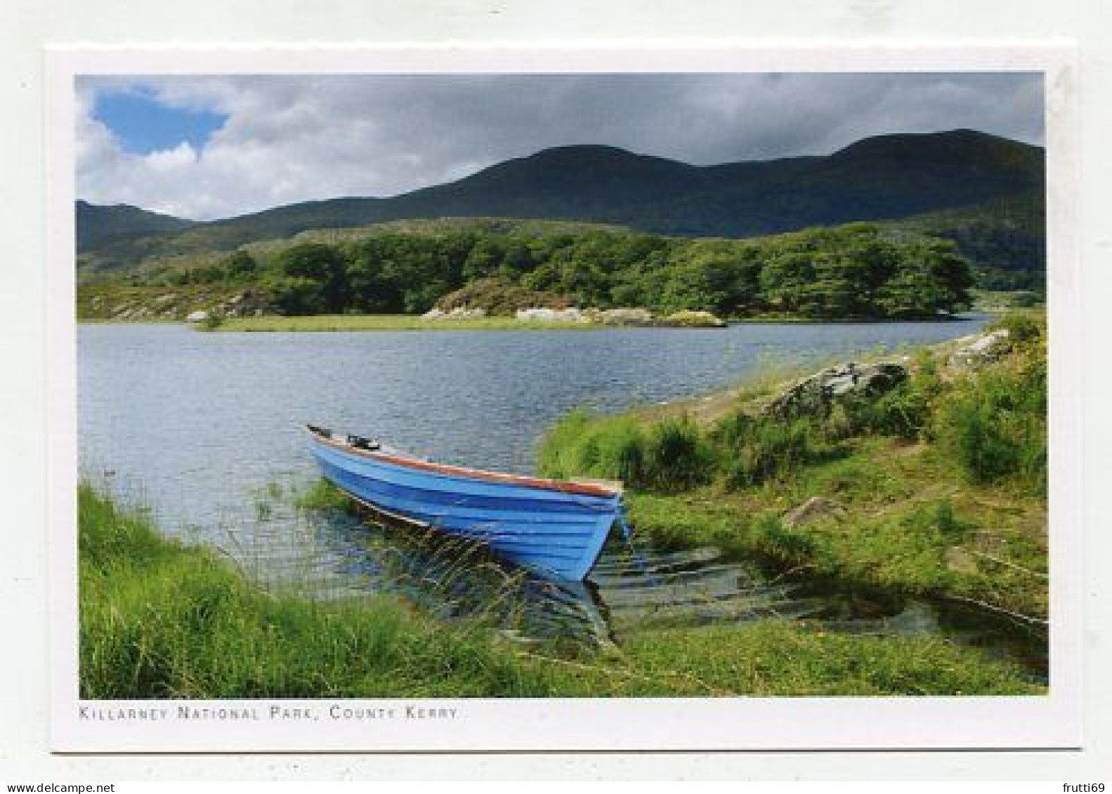 AK 177042 IRELAND - Killarney National Park - Kerry