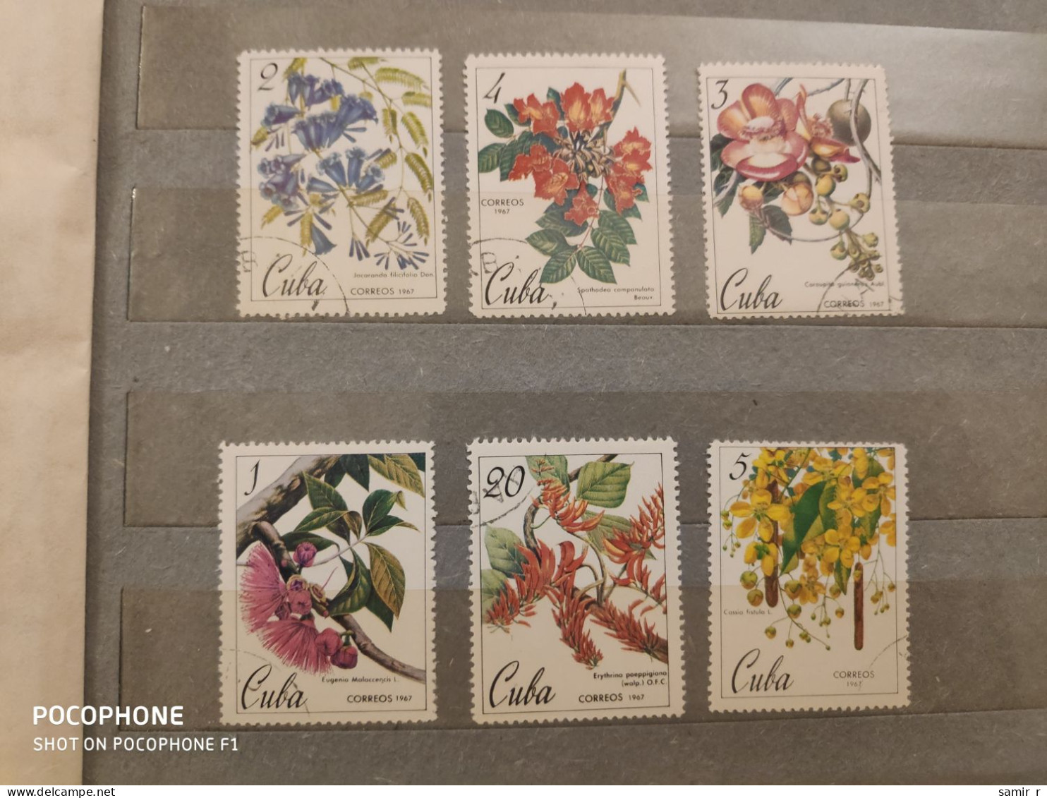1967	Cuba	Flowers  (F62) - Gebruikt