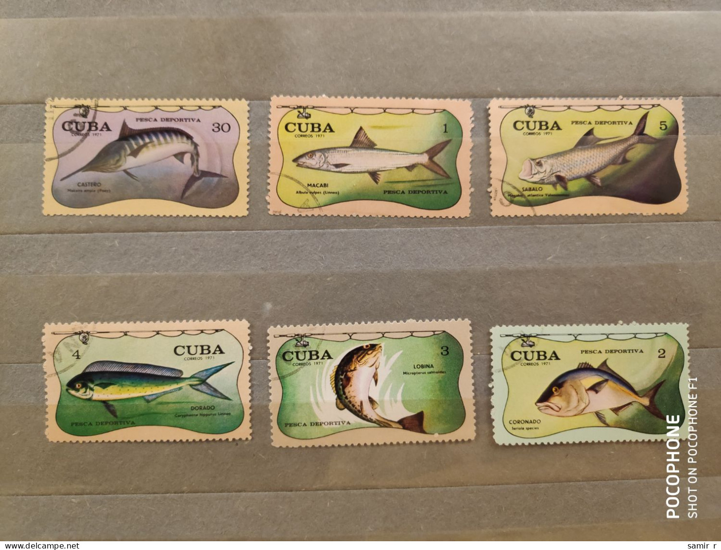 1971	Cuba	Fishes (F62) - Usados