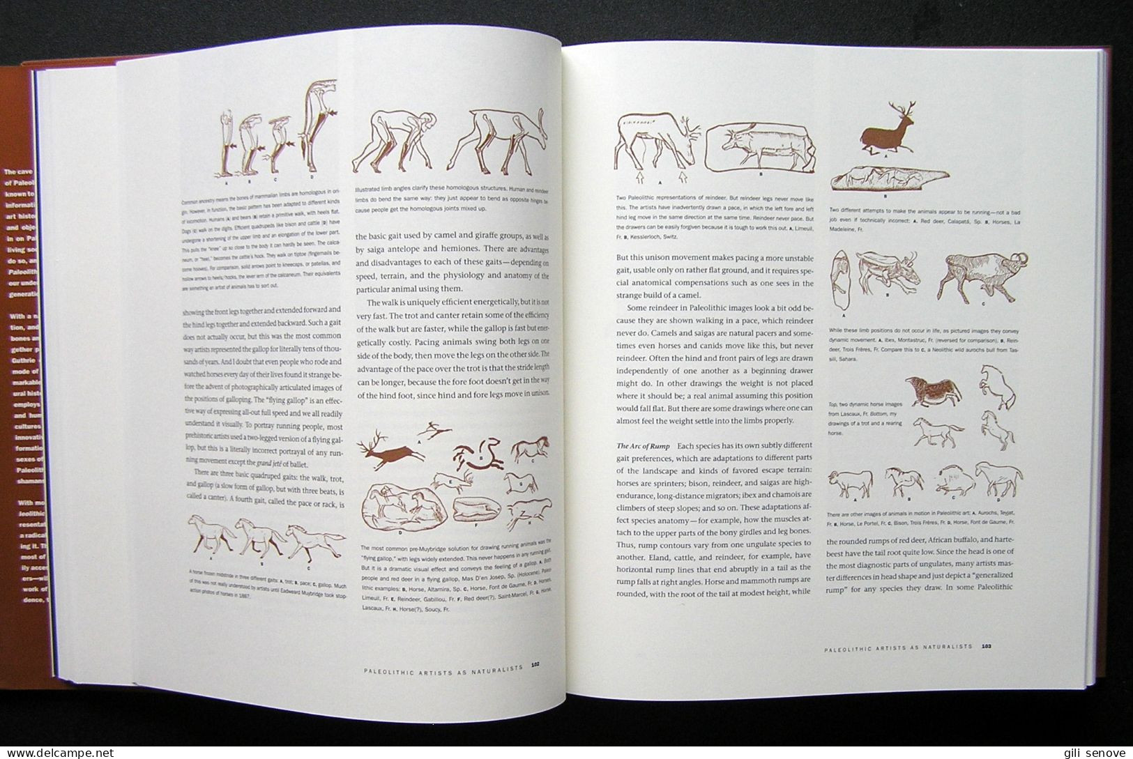 The Nature Of Paleolithic Art By R. Dale Guthrie 2005 - Cultura