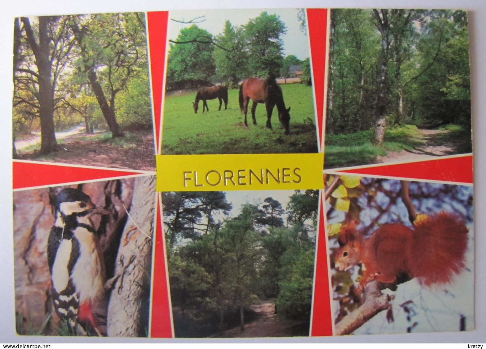 BELGIQUE - NAMUR - FLORENNES - Vues Des Environs - Florennes