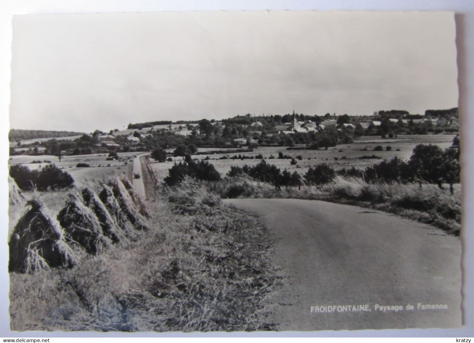 BELGIQUE - NAMUR - HAVELANGE - FROIDEFONTAINE - Panorama - Havelange