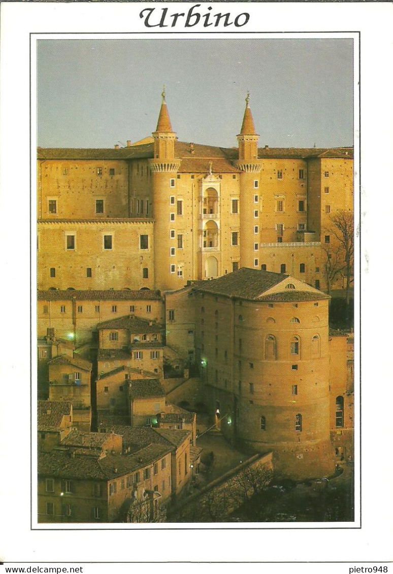 Urbino (Marche) Palazzo Ducale, Notturno, Dukal Palace By Night, Palais Ducal La Nuit - Urbino