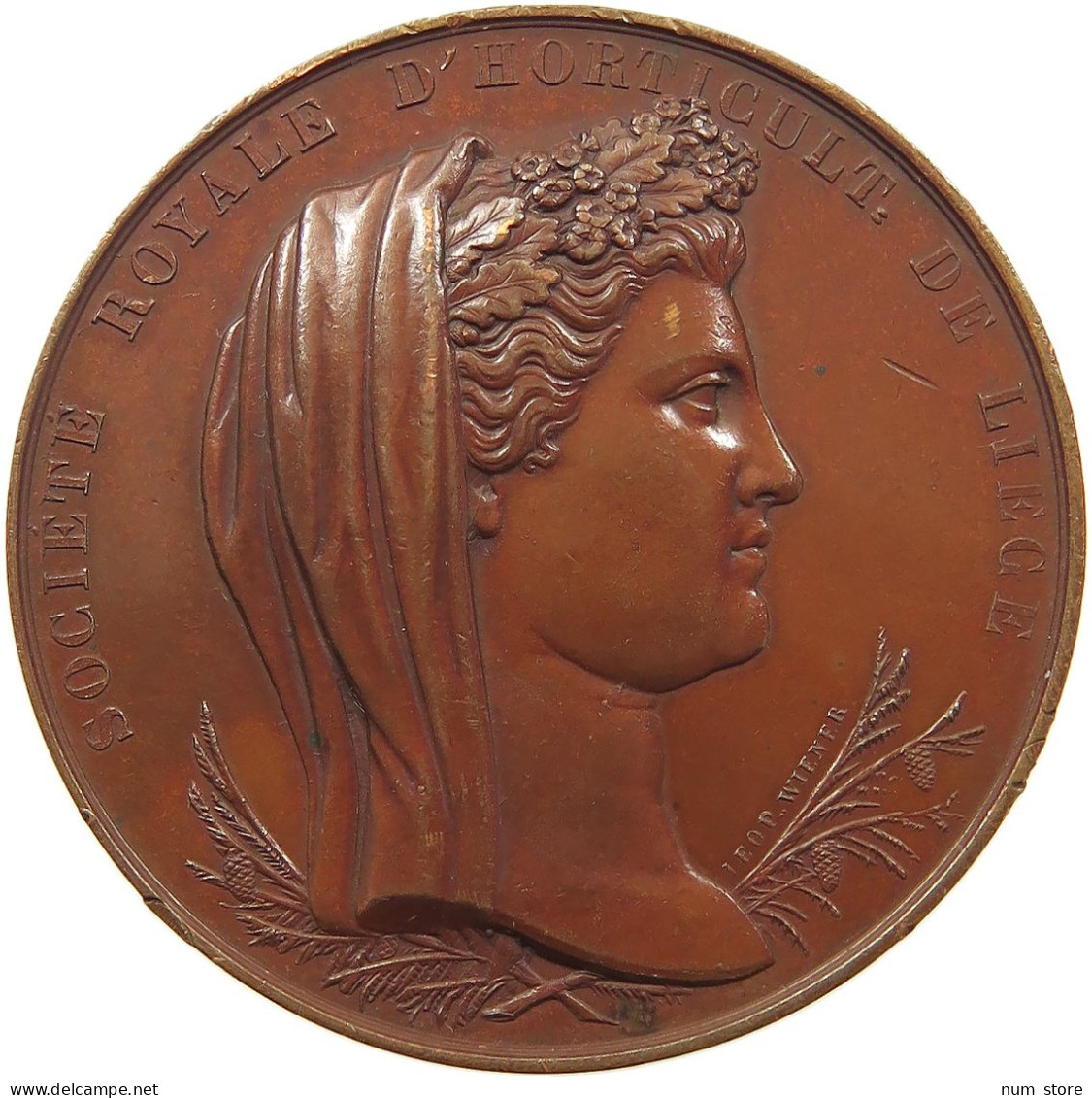 BELGIUM MEDAL 1864 SOCIÉTÉ ROYALE D'HORTUCUL. DE LIEGE, BOVY #sm03 0439 - Zonder Classificatie