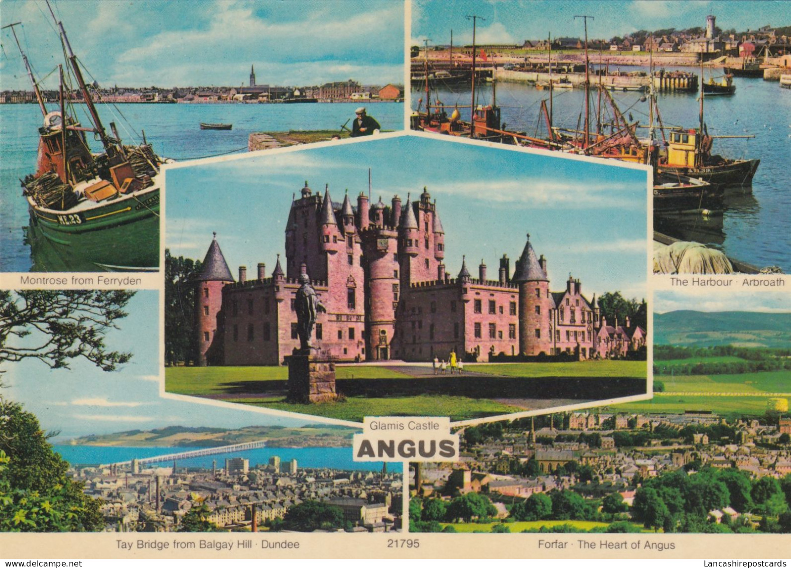 Postcard Angus Multiview  My Ref B26272 - Angus