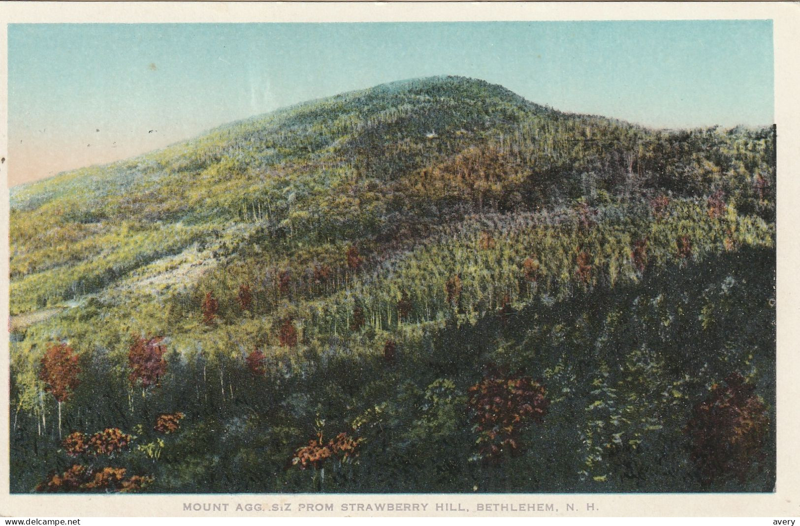 Mount Aggasiz From Strawberry Hill, Bethlehem, New Hampshire - White Mountains