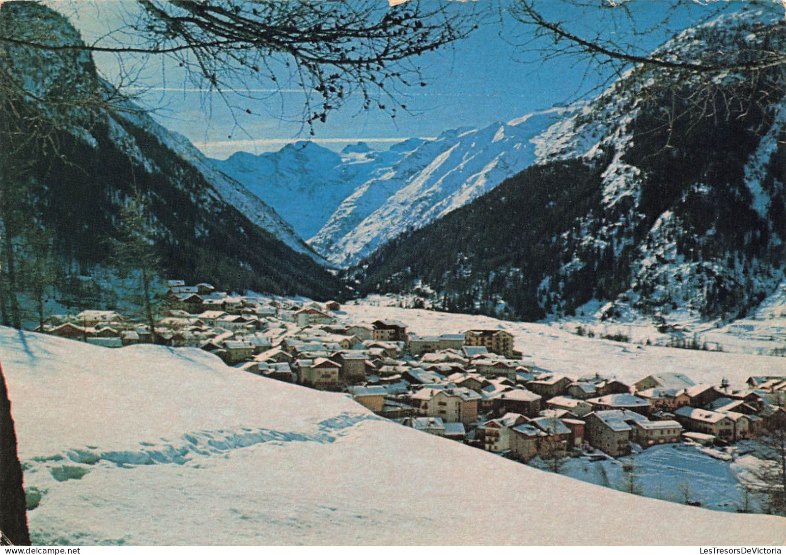 ITALIE - Cogne - Panorama Intervale - Vue Générale En Hiver - Colorisé - Carte Postale - Aosta