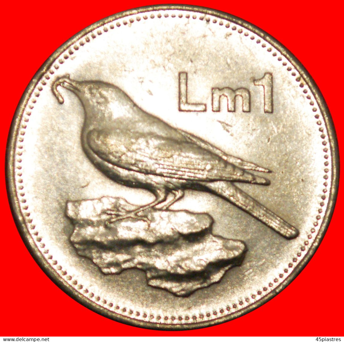 * BIRD (1991-2007): MALTA  1 POUND 1991! MINT LUSTRE!  · LOW START · NO RESERVE! - Malte