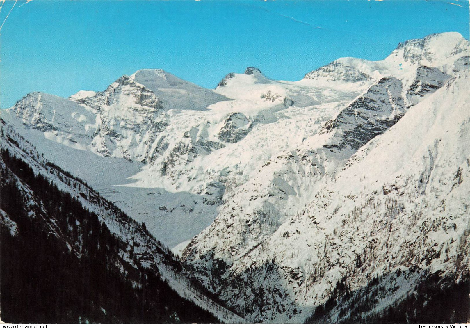 ITALIE - Cogne - Groupe Du Gran Paradiso Vue De Valnontey - Colorisé - Carte Postale - Aosta