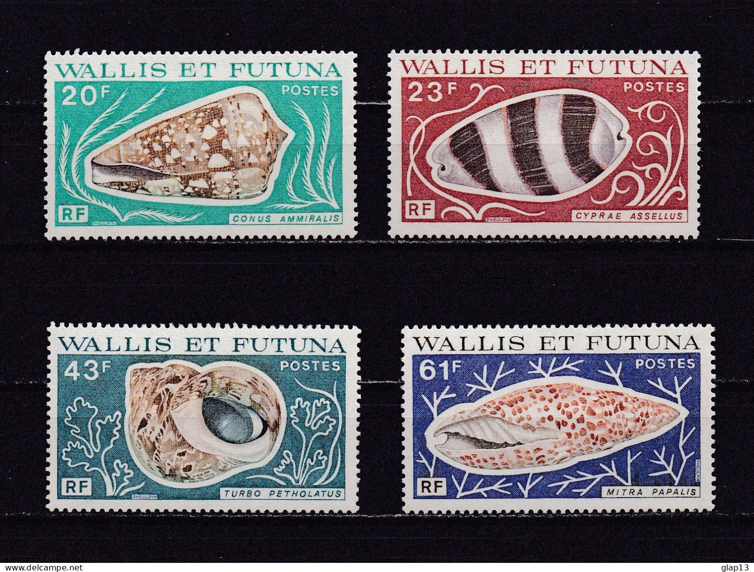WALLIS ET FUTUNA 1976 TIMBRE N°192/95 NEUF** COQUILLAGES - Unused Stamps