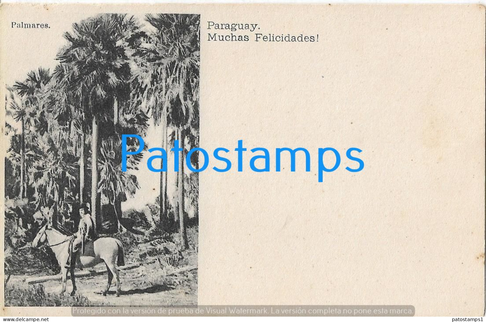 217390 PARAGUAY PALMARES COSTUMES MAN A HORSE POSTAL POSTCARD - Paraguay