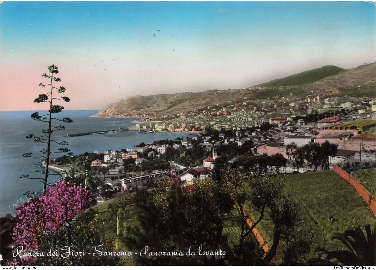 ITALIE - Sanremo - Panorama Da Levante - Colorisé - Carte Postale - San Remo