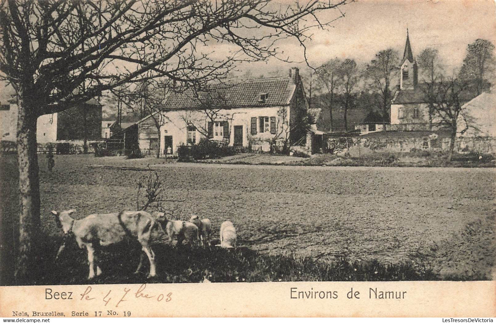 BELGIQUE - Namur - Vue Sur La Ville Et L'église - Carte Postale Ancienne - Namur