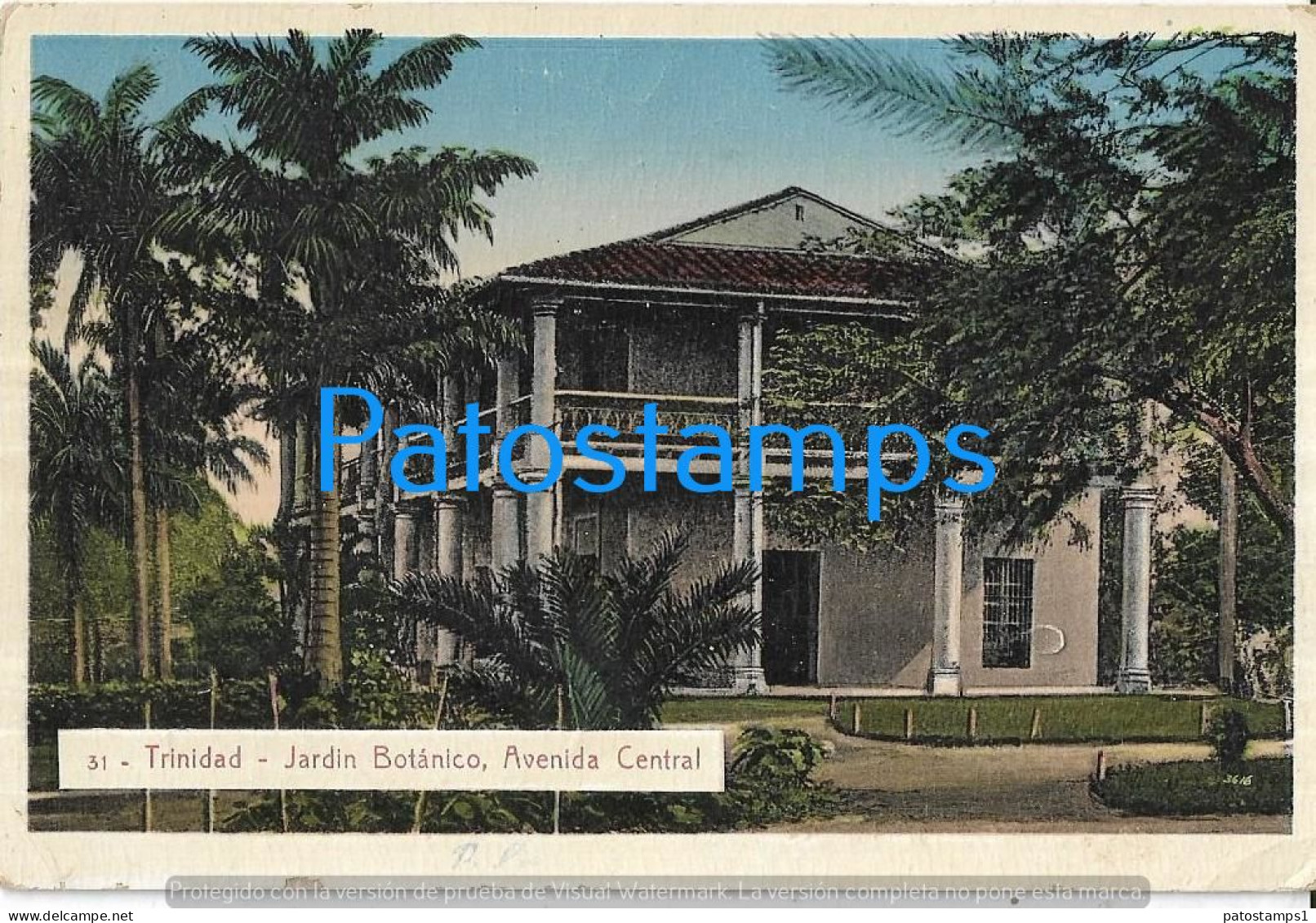 217445 PARAGUAY TRINIDAD JARDIN BOTANICO AVENIDA CENTRAL POSTAL POSTCARD - Paraguay