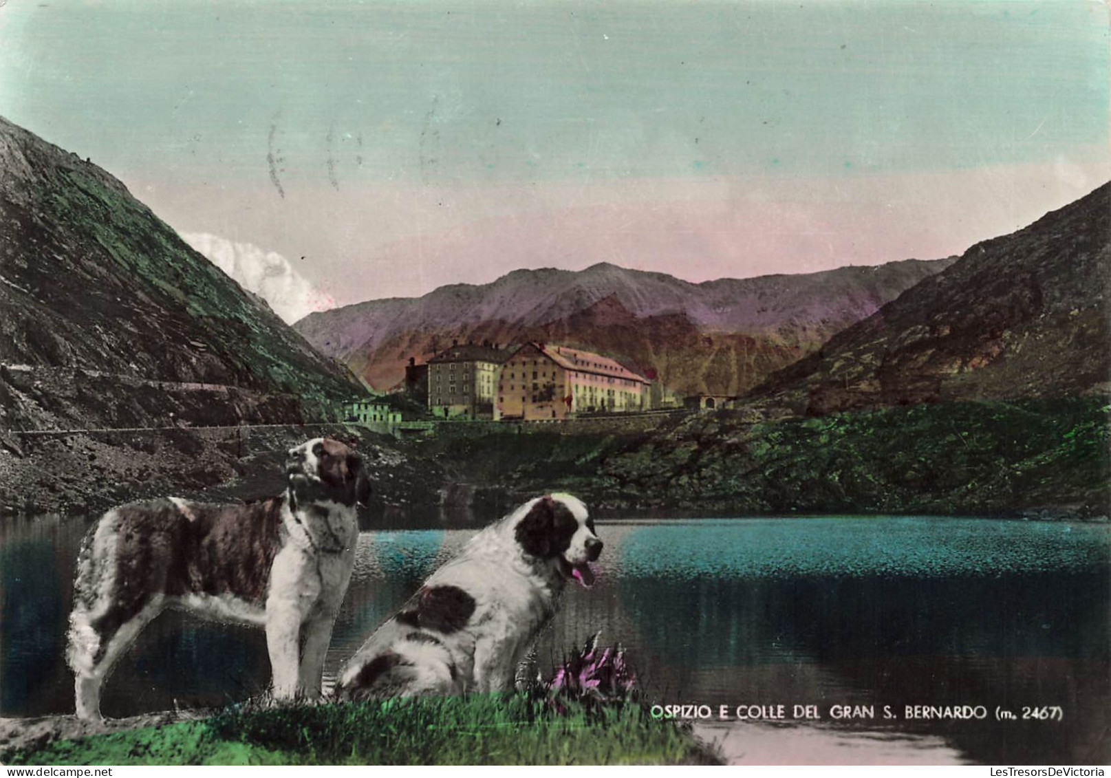 ITALIE - Col Du Grand-Saint-Bernard - Colorisé - Carte Postale Ancienne - Autres & Non Classés