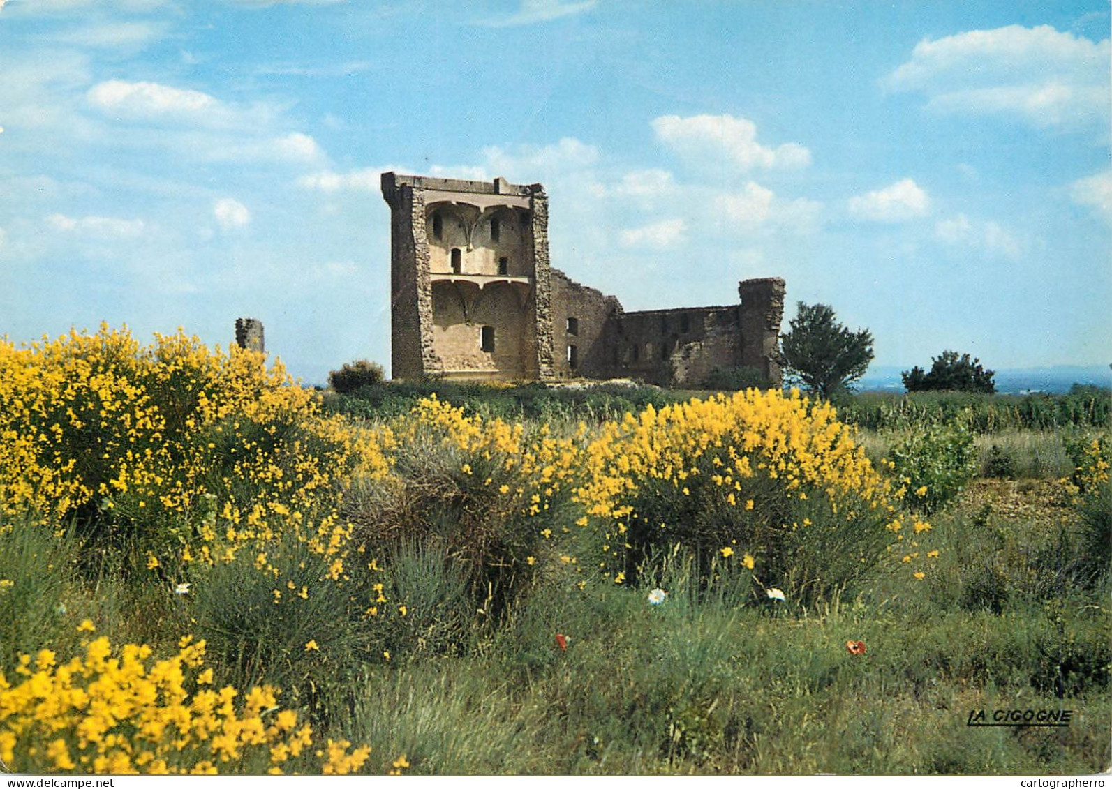 Postcard France Vaucluse Chateauneuf Du Pape Ruins - Chateauneuf Du Pape