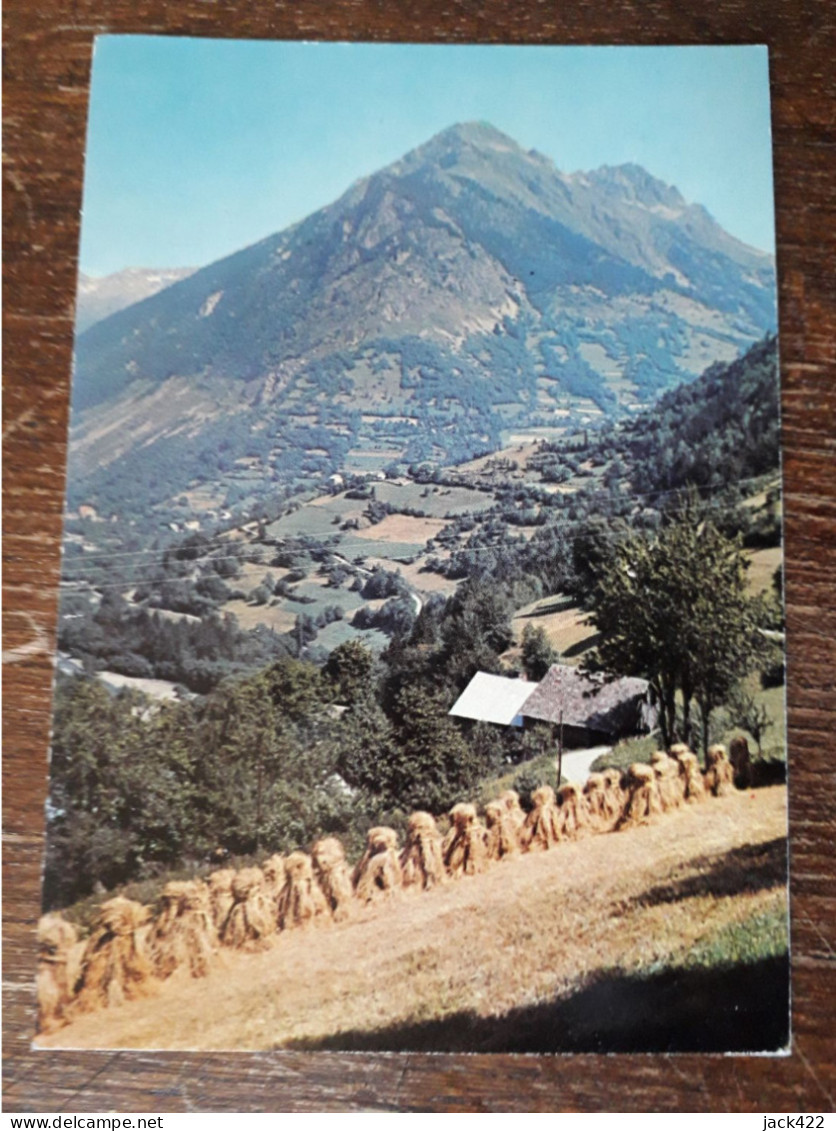 L9/246 ENVIRONS D'ALLEMONT . LE RISSIOU ET LE MASSIF DES SEPT LAUX - Allemont