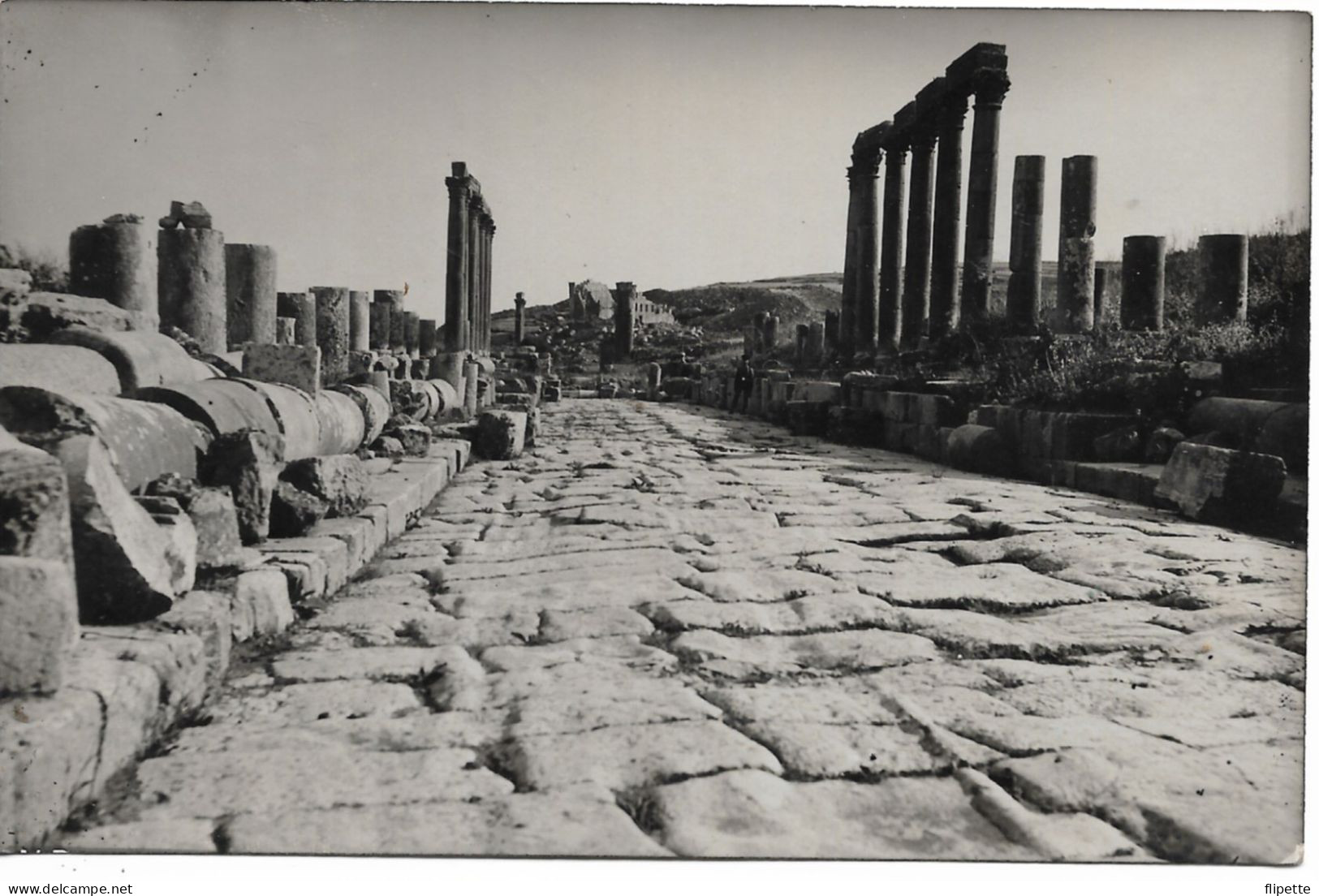 L60F005 - Jordanie - Jerash - Gerasa -  Jack Dakessian Photographe - DERAA - Jordanie