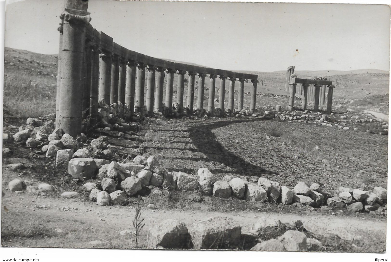 L60F010 - Jordanie - Jerash - Gerasa - Colonnades -  Jack Dakessian Photographe - DERAA - Jordanie