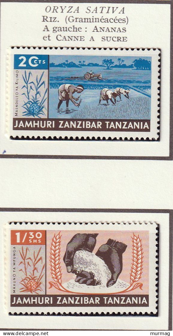 JAMHURI ZANZIBAR TANZANIE - Riz, Ananas, Canne à Sucre - 1966 - MNH - Zanzibar (1963-1968)