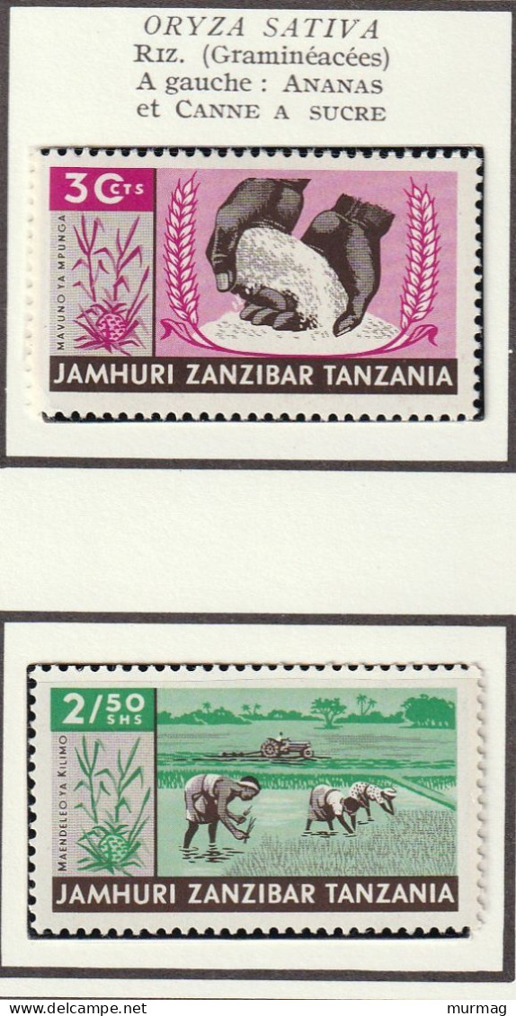 JAMHURI ZANZIBAR TANZANIE - Riz, Ananas, Canne à Sucre - 1966 - MNH - Zanzibar (1963-1968)