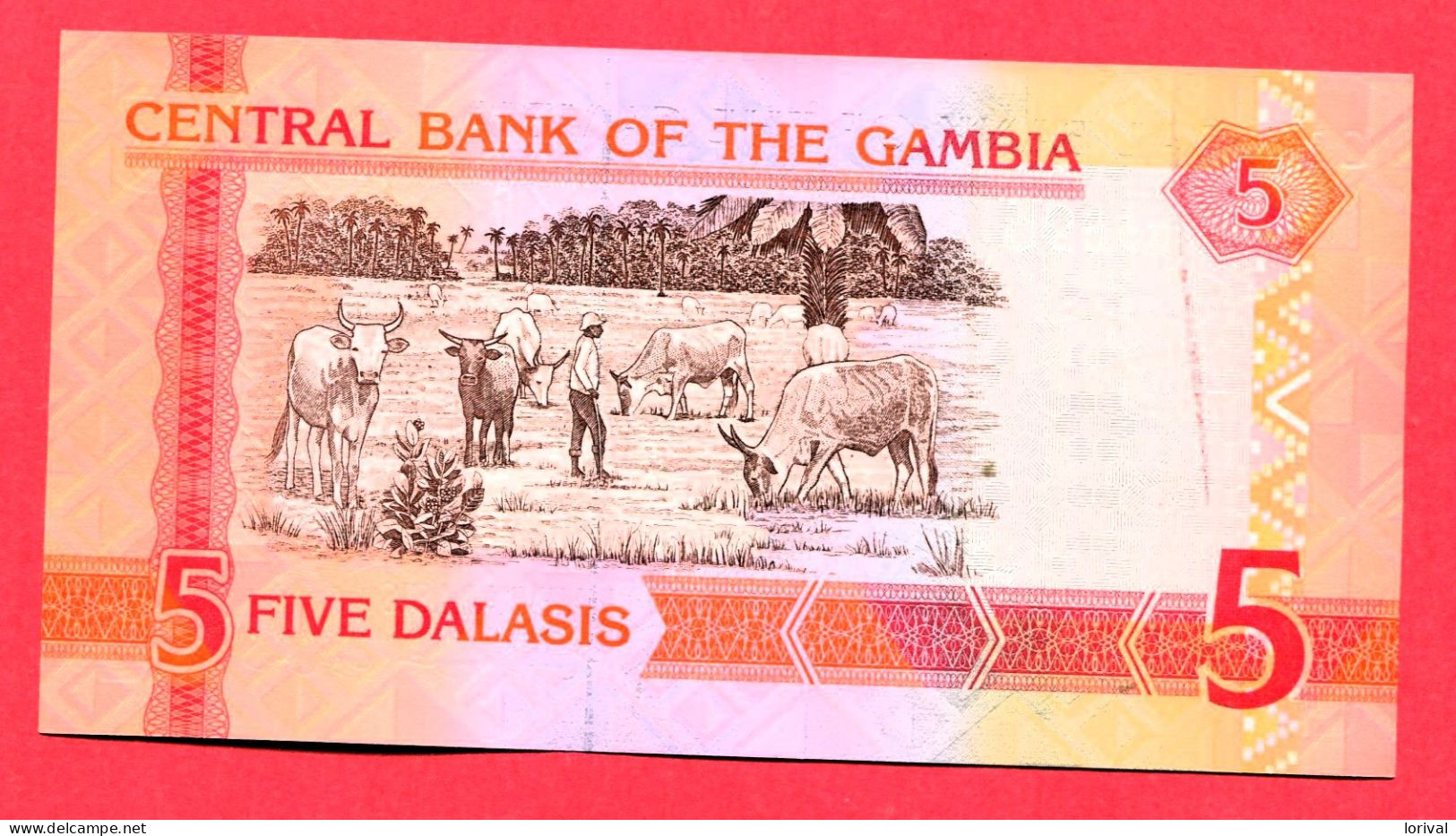 5 Dalasis Neuf 3 Euros - Gambie