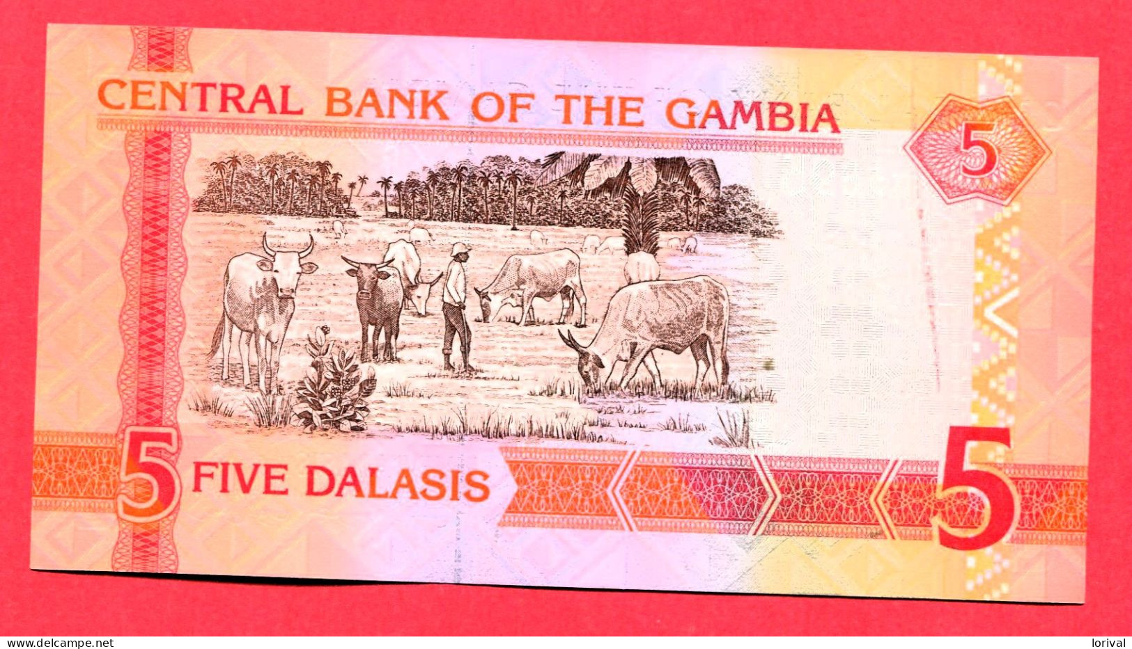 5 Dalasis Neuf 3 Euros - Gambia