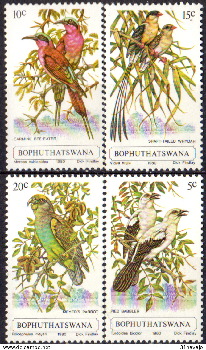 BOPHUTHATSWANA - Oiseaux 1980 - Bophuthatswana