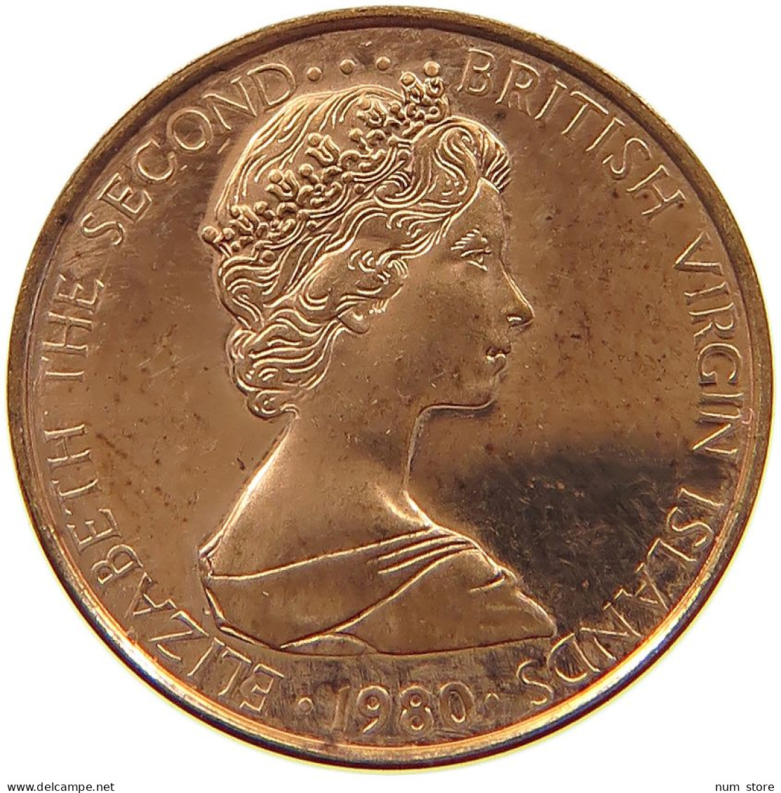 BRITISH VIRGIN ISLANDS CENT 1980 Elizabeth II. (1952-2022) #a015 0157 - Iles Vièrges Britanniques