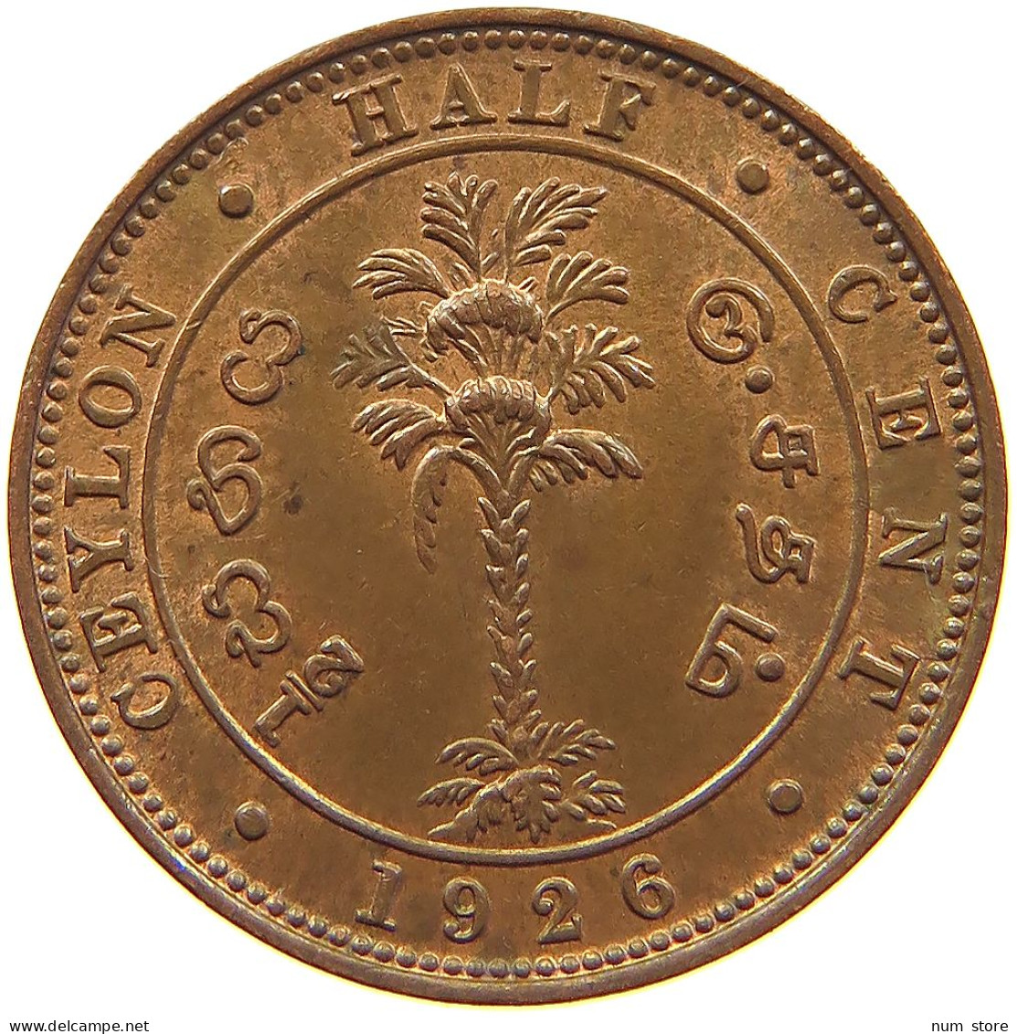 CEYLON 1/2 CENT 1926 George V. (1910-1936) #t018 0311 - Sri Lanka