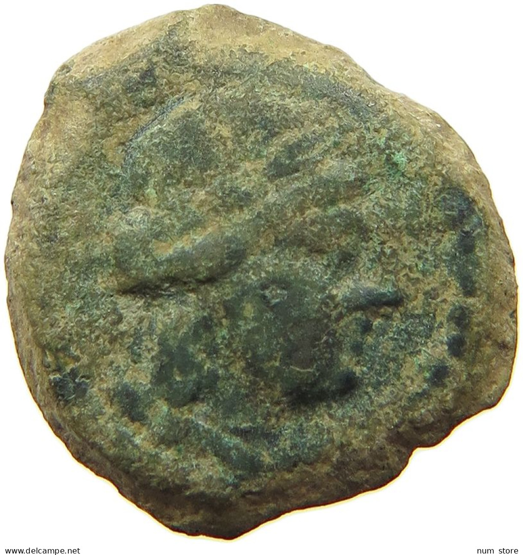 CELTIC MASSALIA AE  MASSALIOTE MASSA MARSEILLE AE HEAD / BULL #t125 0451 - Celtic