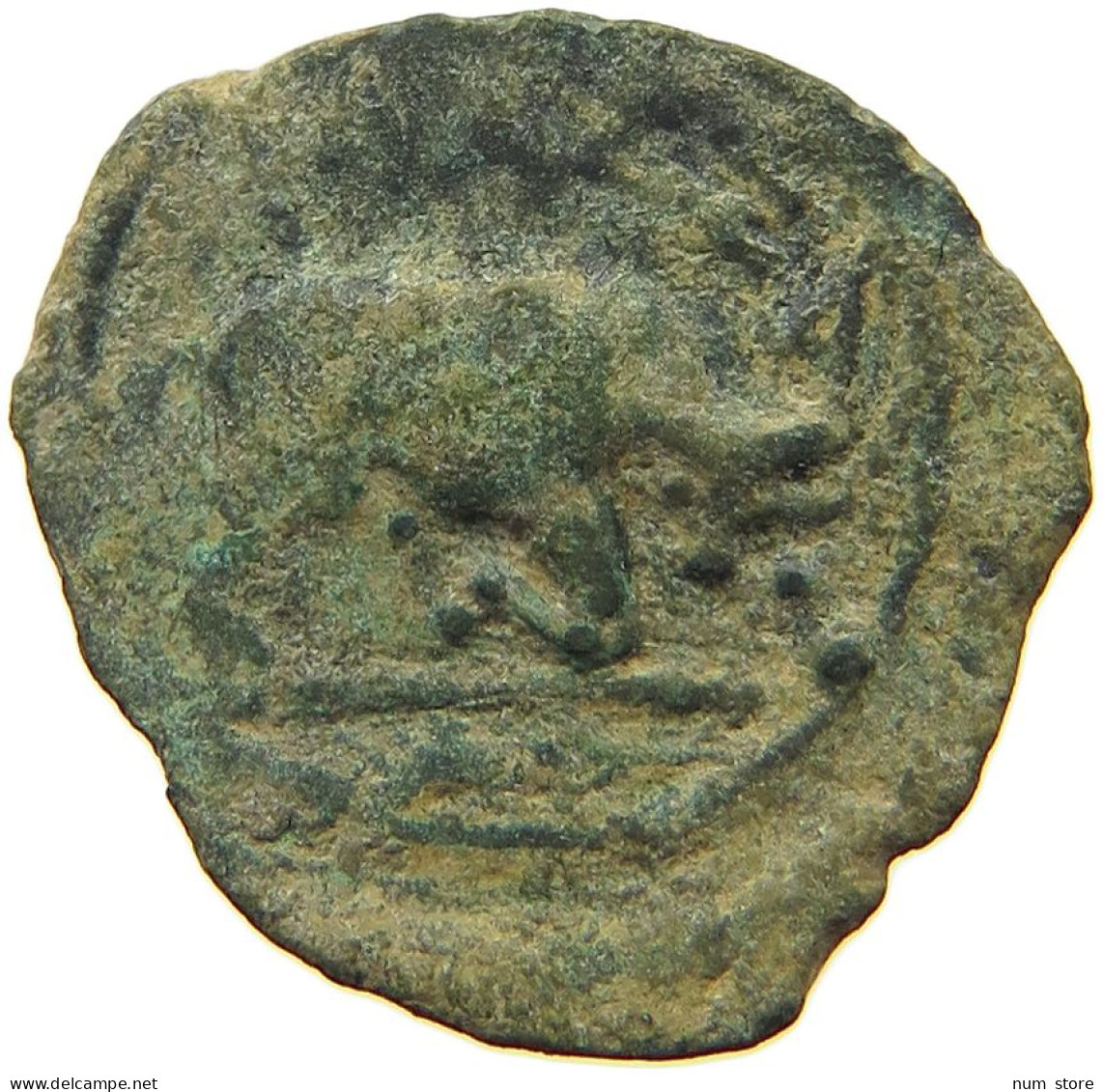 CELTIC MASSALIA AE  MASSALIOTE MASSA MARSEILLE AE HEAD / BULL #t125 0451 - Celtic