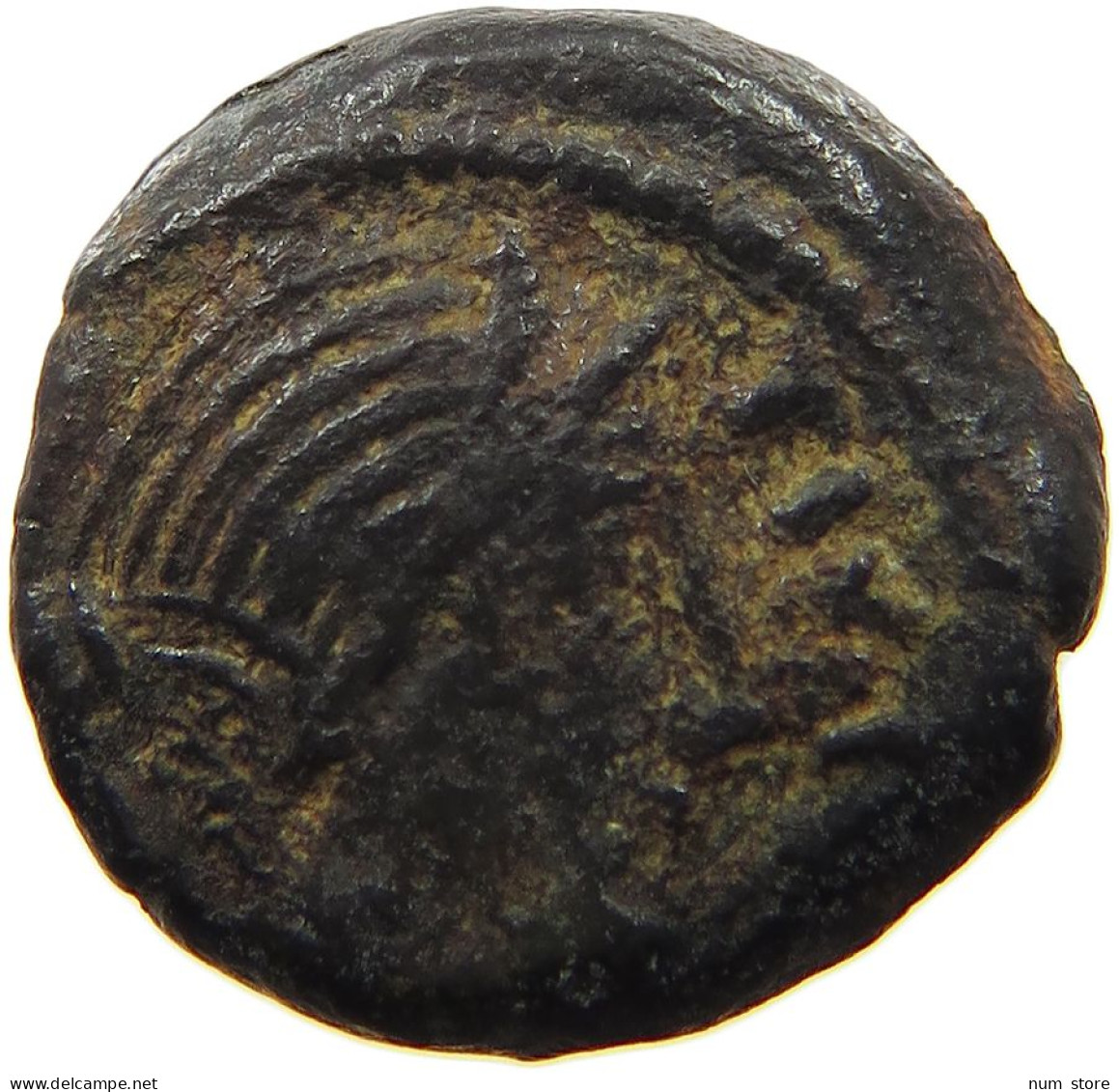 CELTIC CARNUTES AE  PIXTILOS 50-30 BC #t129 0867 - Gauloises