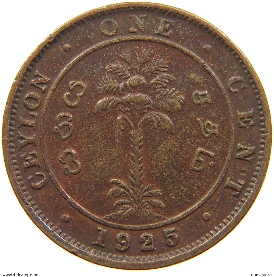 CEYLON CENT 1925 George V. (1910-1936) #a093 0111 - Sri Lanka