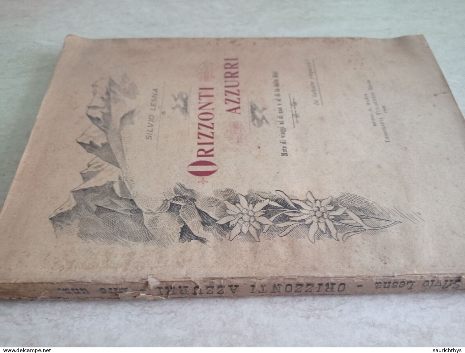 Silvio Lesna Orizzonti Azzurri Note Viaggi Al Di Qua E Al Di Là Delle Alpi Mosso Santa Maria 1909 Biellese - Histoire, Biographie, Philosophie