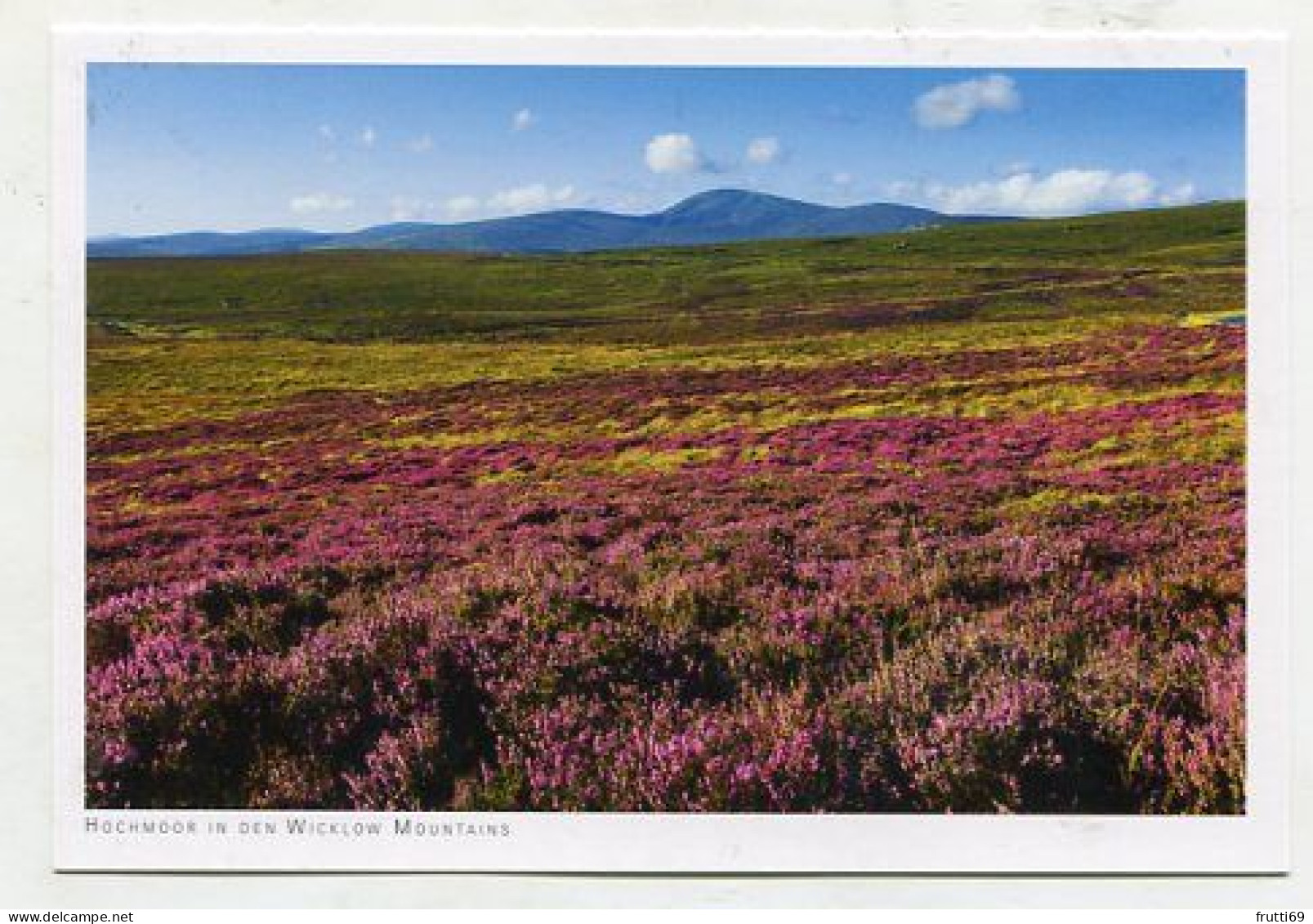 AK 177088 IRELAND - Hochmoor In Den Wicklow Mountains - Wicklow