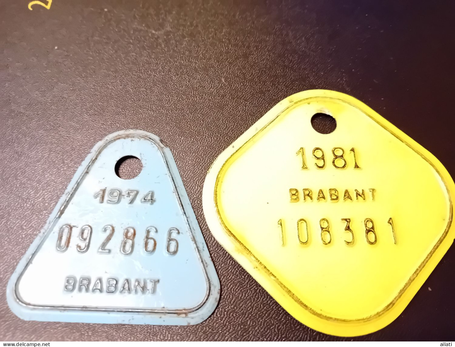 Deux Plaques De Vélo - Placas De Matriculación