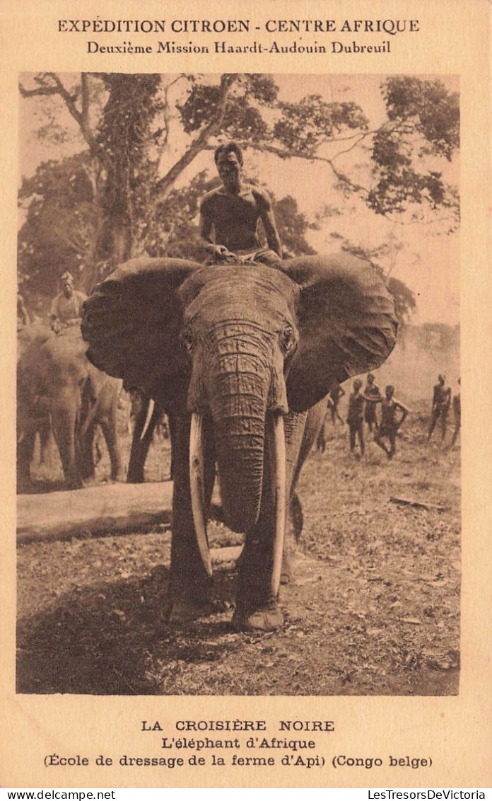 CONGO - Congo Belge - La Croisière Noire - L'éléphant D’Afrique - Carte Postale Ancienne - Congo Belge