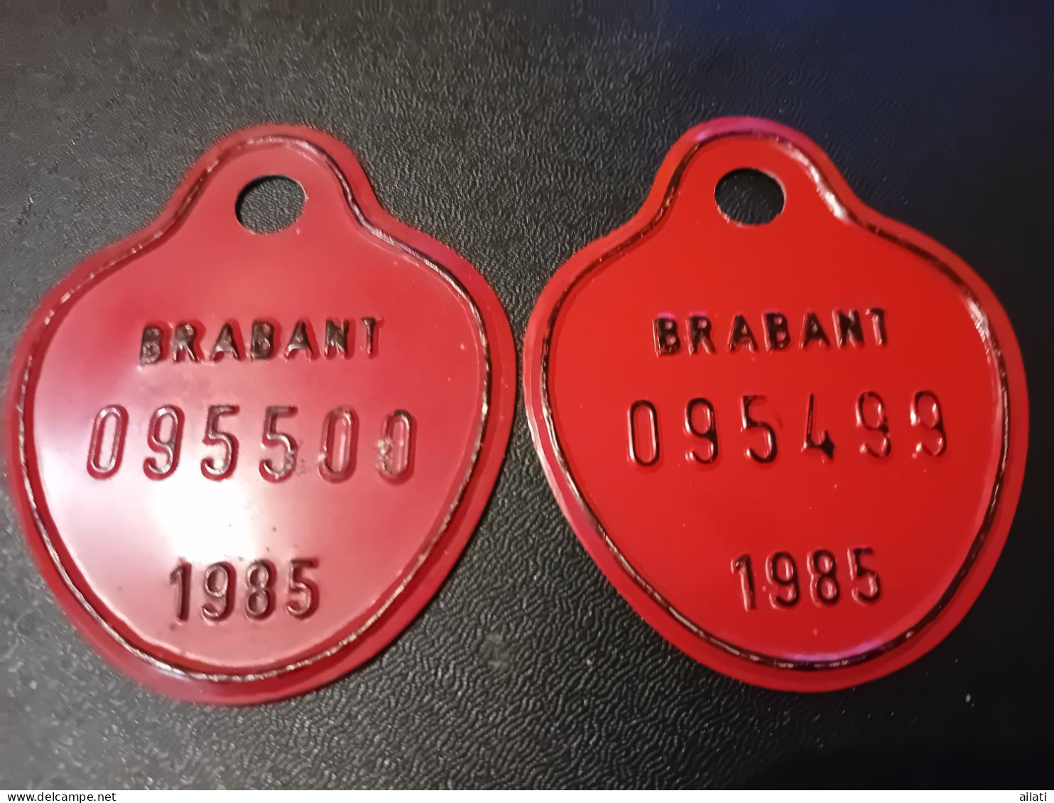 Deux Plaques Vélo - Placas De Matriculación