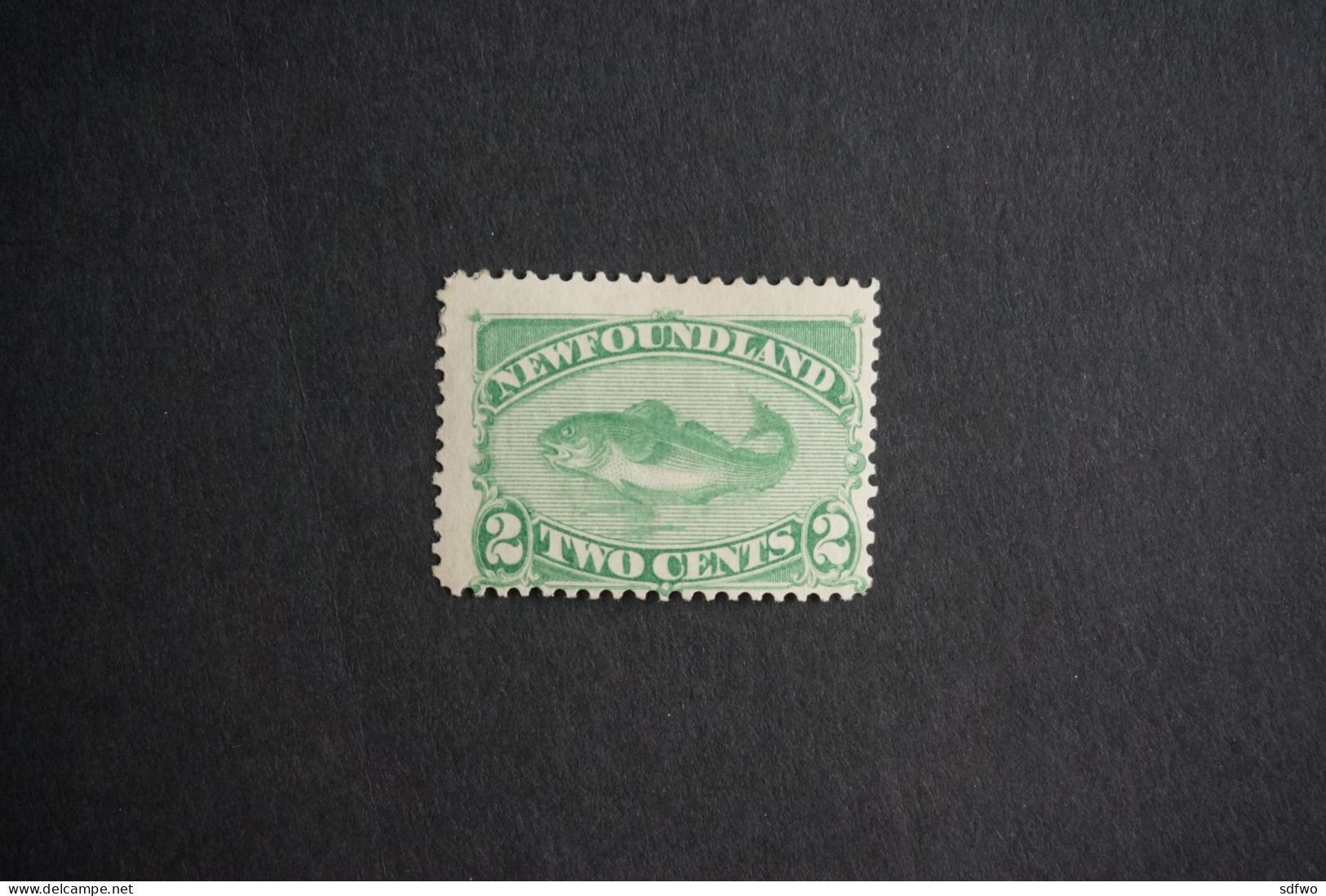 (T7) Newfoundland Canada - 1880 Cod Fish 2c (MH) - 1865-1902