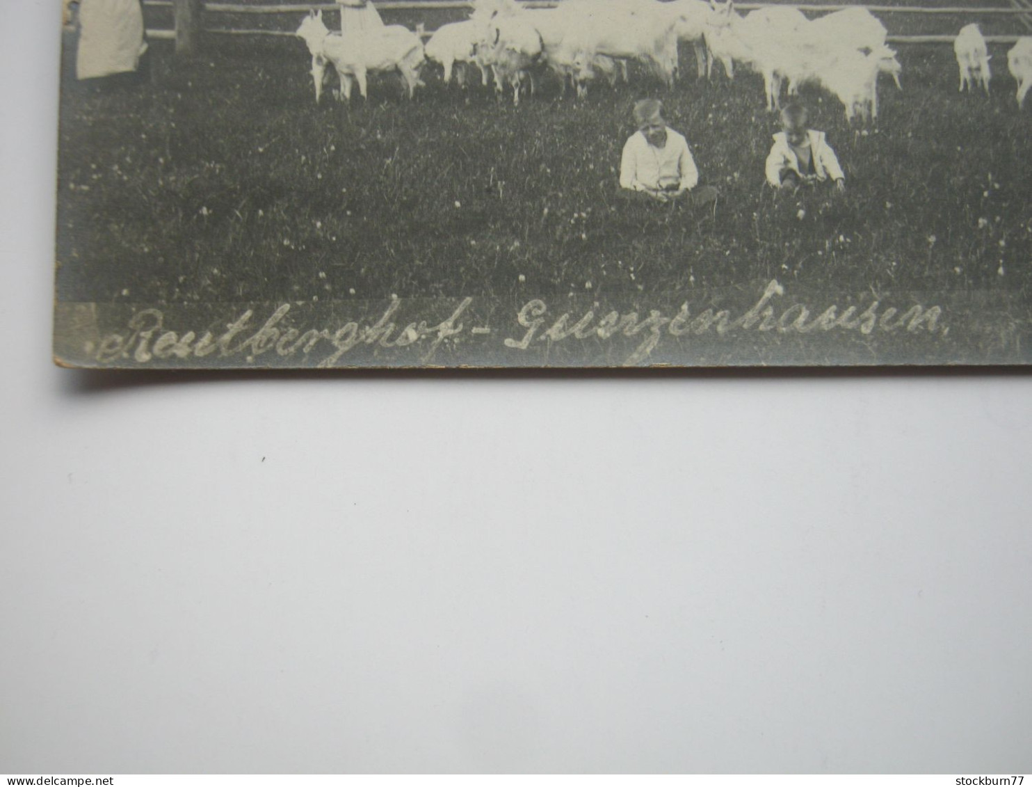 Gunzenhausen  ,Fotokarte , Schöne Karte Um 1910 - Gunzenhausen