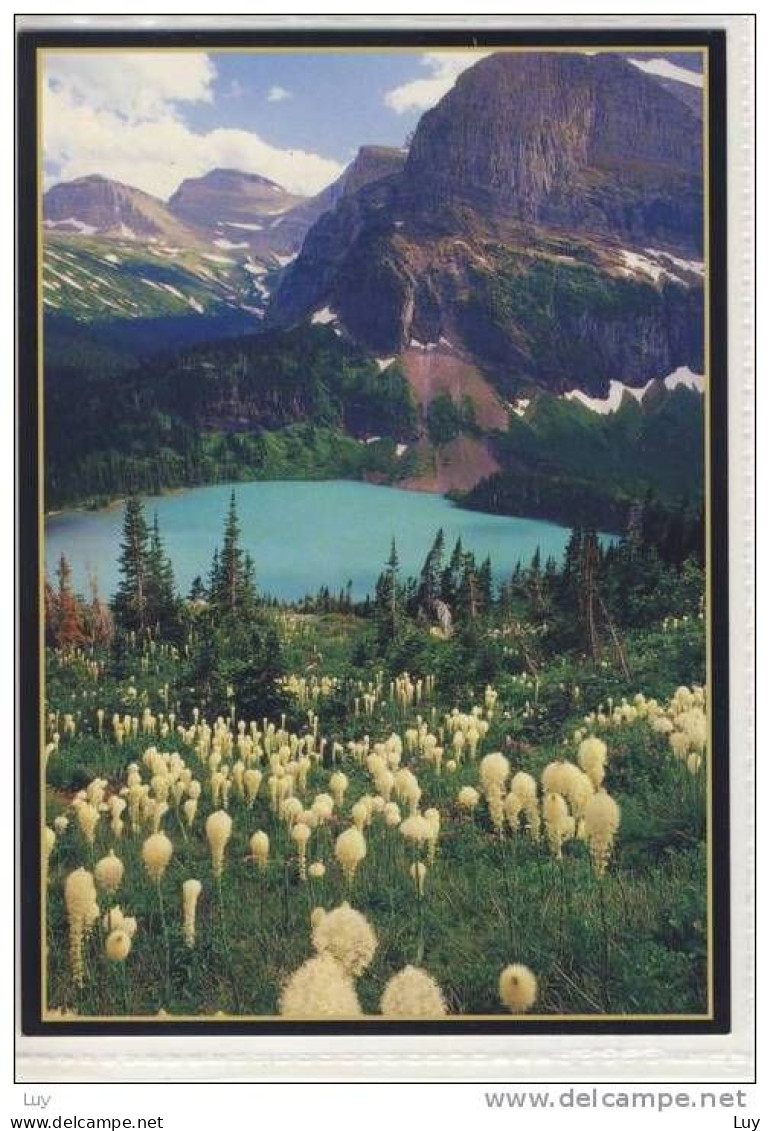 MONTANA - Grinnell Lake, Glacier Nationalpark, Glacier County - 2009, Nice Stamp - Sonstige & Ohne Zuordnung