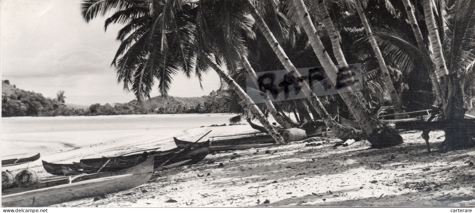 MADAGASCAR,MADAGASIKARA,MALAGASY,ile,sud équateur,ex Colonie Française,TANANARIVE,CARTE PHOTO NOURAULT,RARE - Madagascar