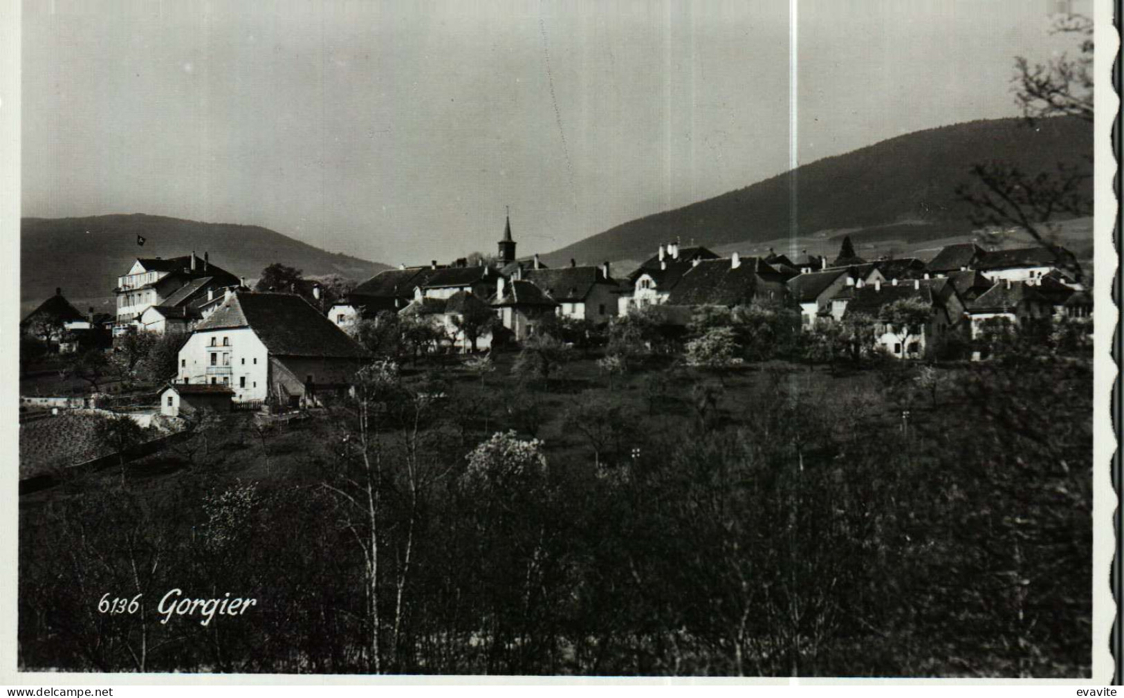 CPSM Photo  Suisse        GORGIER  Vue Générale - Gorgier