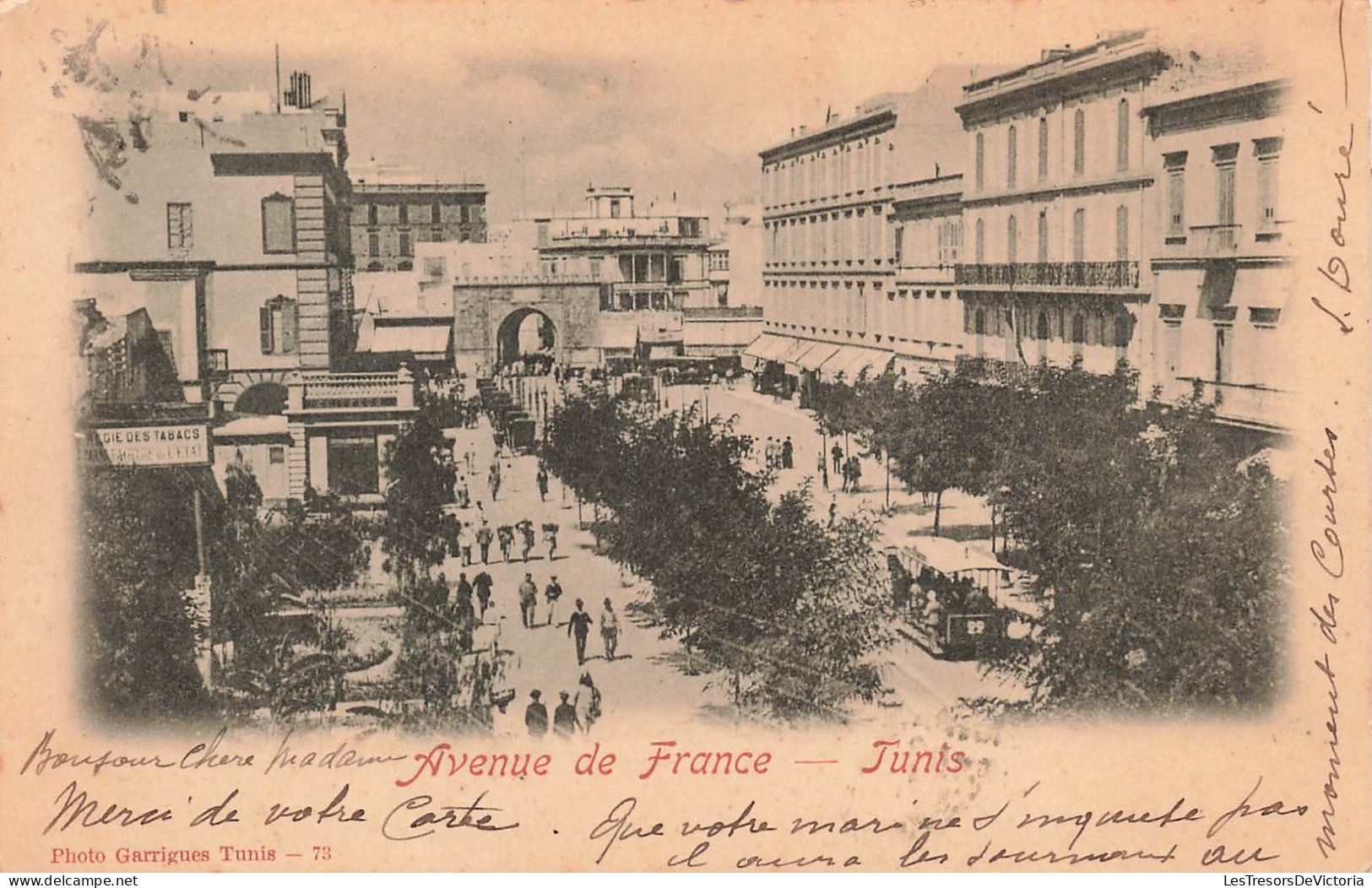 TUNISIE - Tunis -  Avenue De France -  Animé - Carte Postale Ancienne - Tunisie